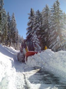 Winterdienst Pflug